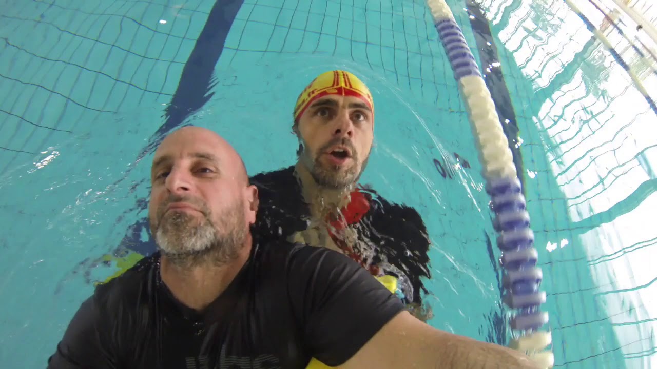 APNES BNSSA 2019