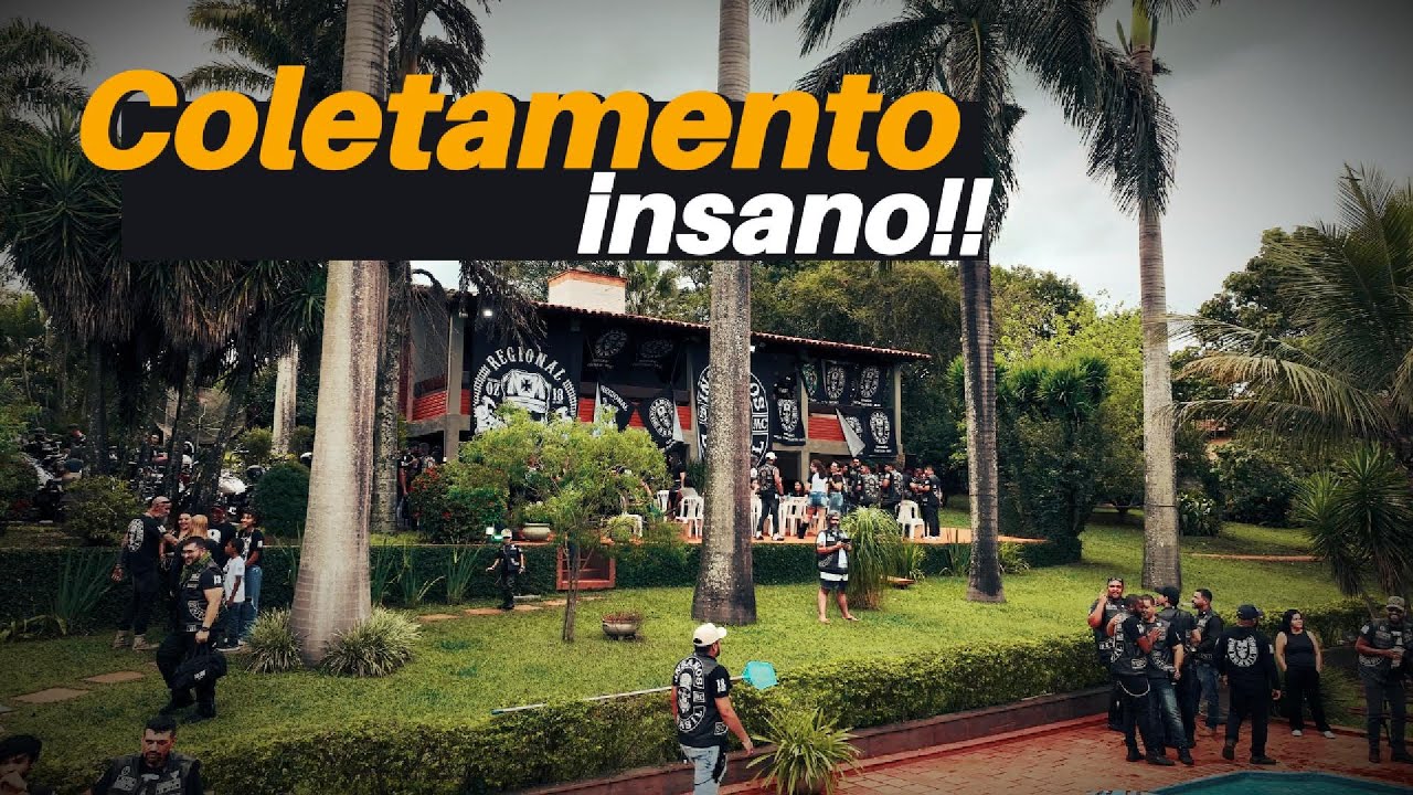 Fui coletado pelo Insanos MC, e agora?