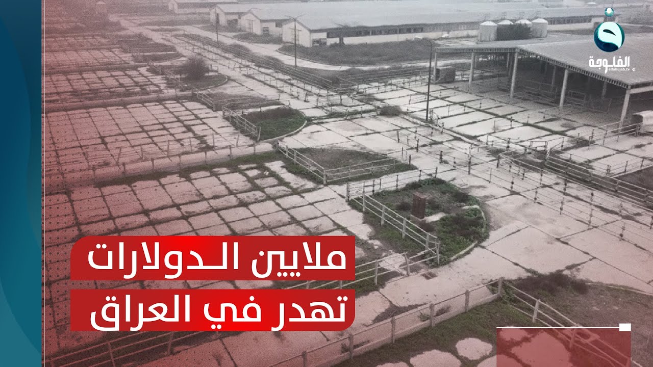 مشروع الدجيلة الزراعي.. ملايين الدولارات تهدر وبنى تحتية تندثر| تقرير: علي محمد