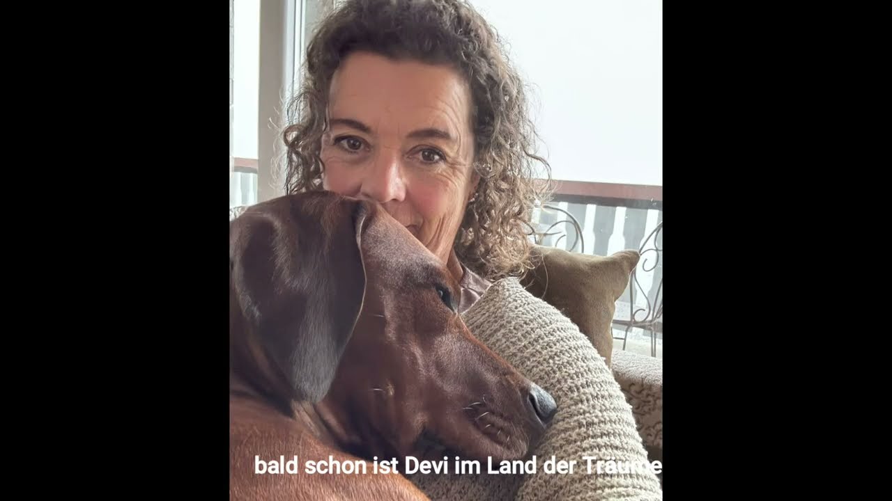 Rhodesian Ridgeback Devi & ich
