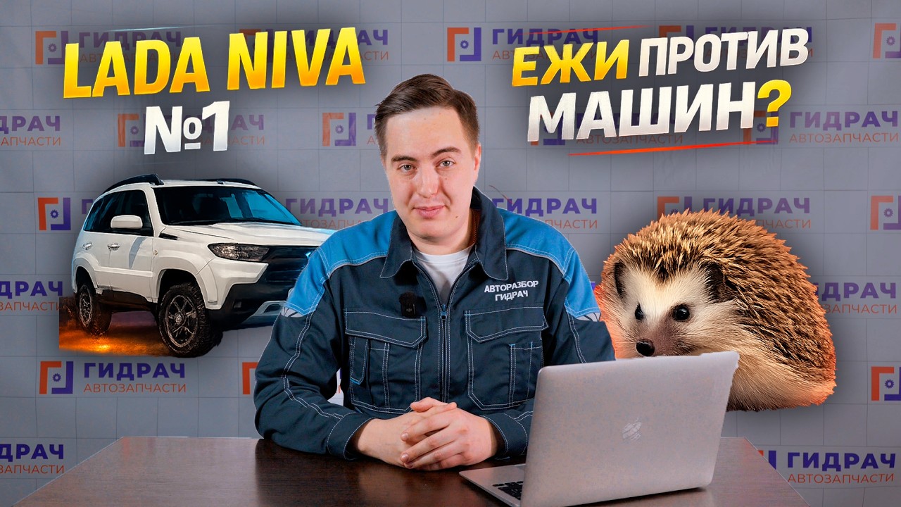 Ежи против машин. Нива №1 на авторынке?