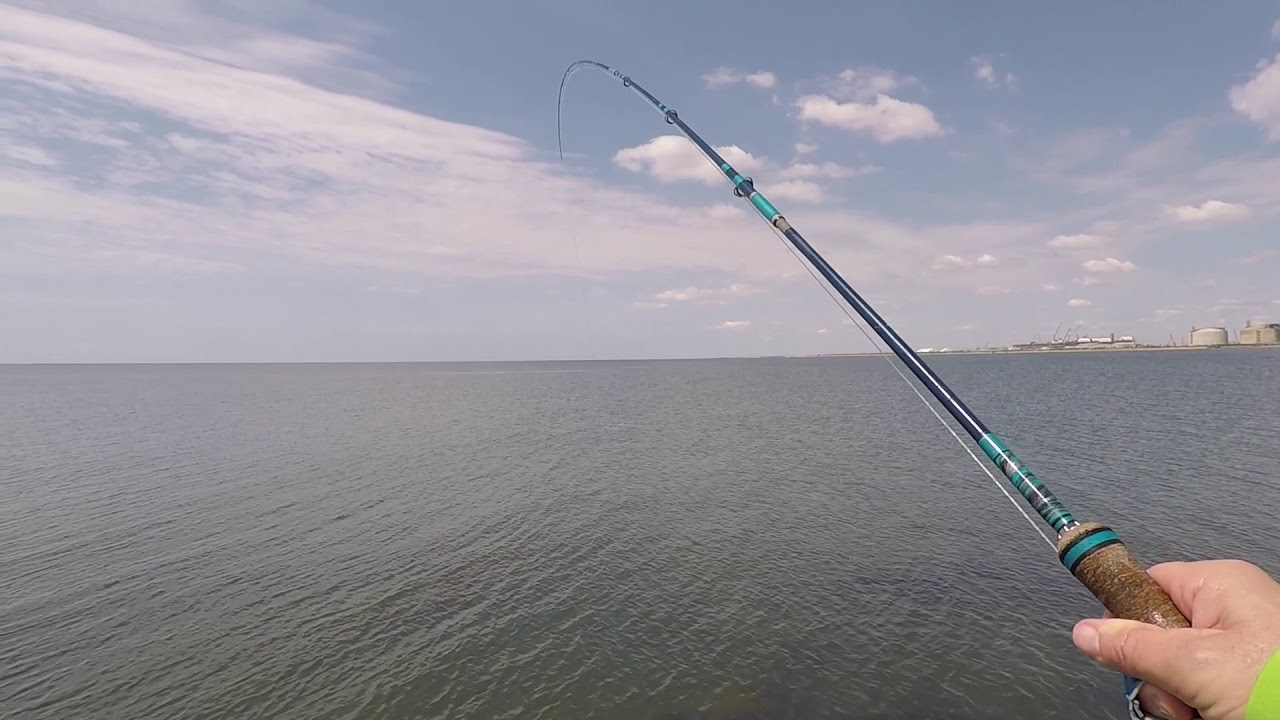 Hot Jetty Action - Fly Fishing for Speckled Trout