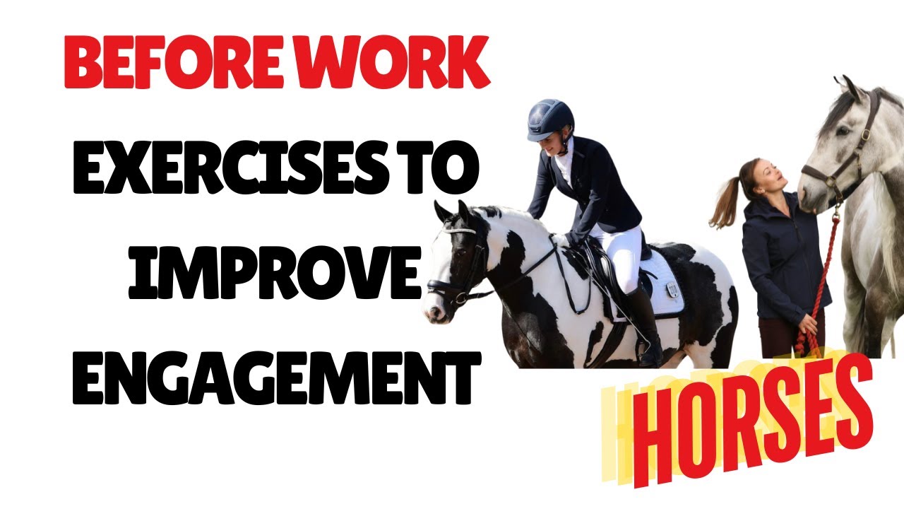 Before work exercise in Horses: How to guide