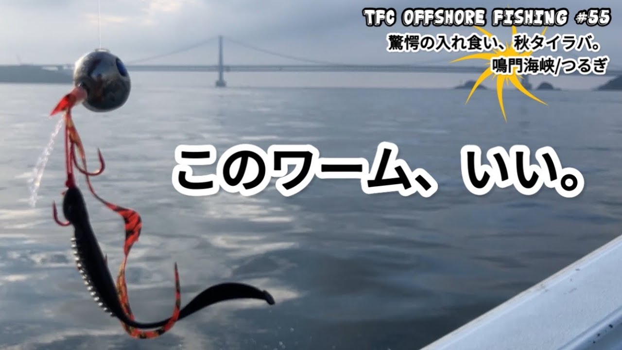 【タイラバ】驚愕の入れ食い。秋のタイラバは、このワームがおすすめ‼︎   鳴門海峡/つるぎ　TFC offshore fishing #55