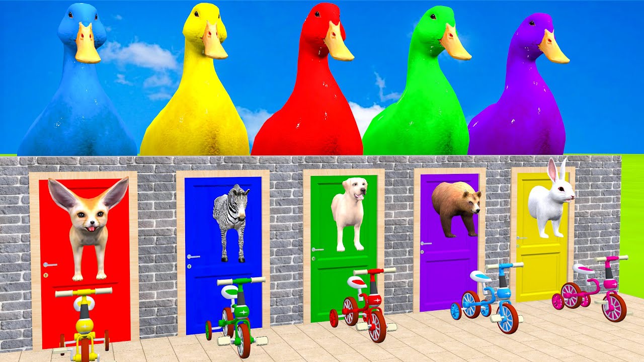Long Slide Game with Cow Elephant Gorilla Hippopotamus Tiger 3d Animal Game Funny 3d Animals