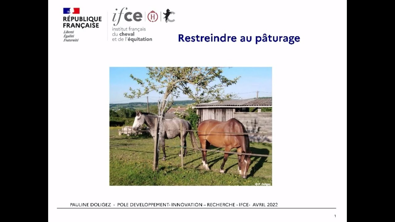 Restreindre l'alimentation au pâturage - Pauline Doligez