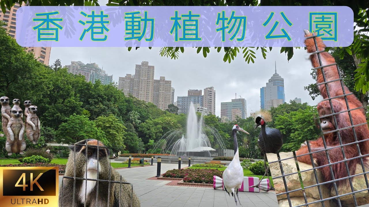 香港本地遊～香港動植物公園。Hong Kong Zoological and Botanical Garden。May 2025