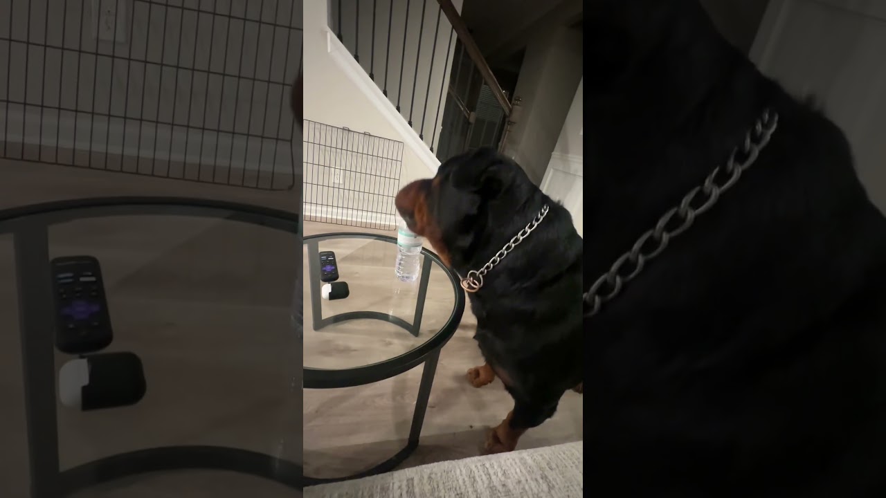 Он хочет эту бутылку&hellip;