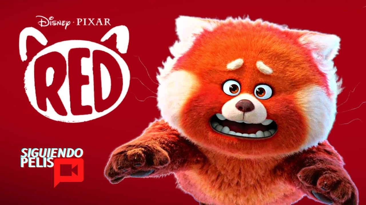 RED |  RESUMEN EN 16 MINUTOS