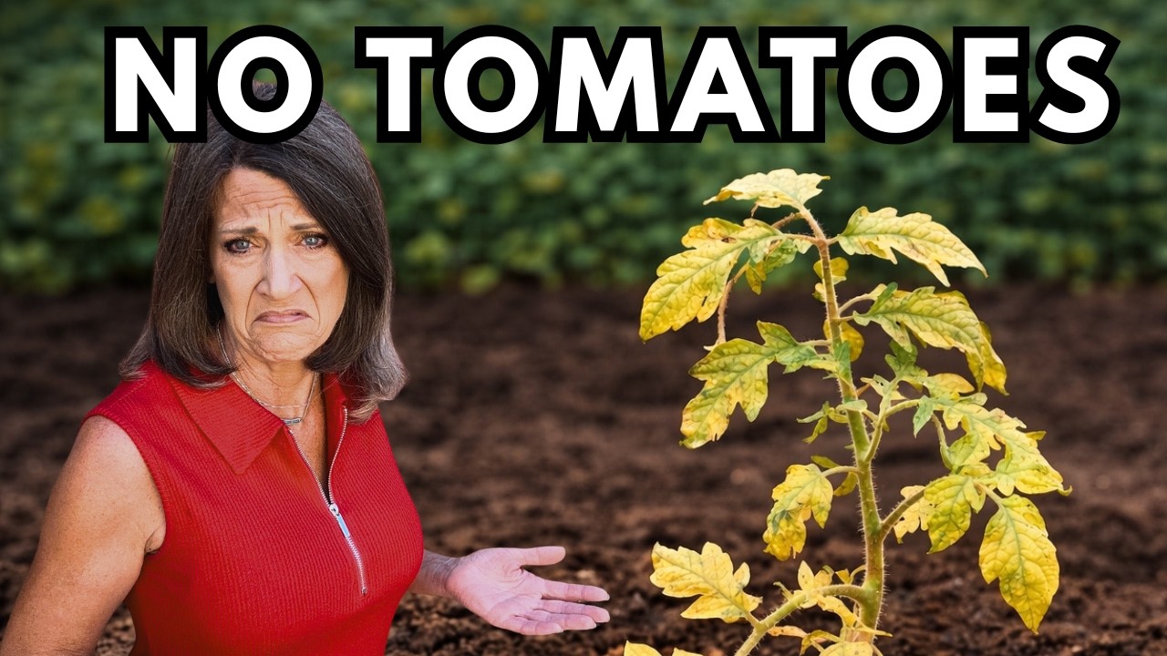 You&rsquo;re Planting Tomatoes WRONG (And It&rsquo;s Killing Your Harvest)