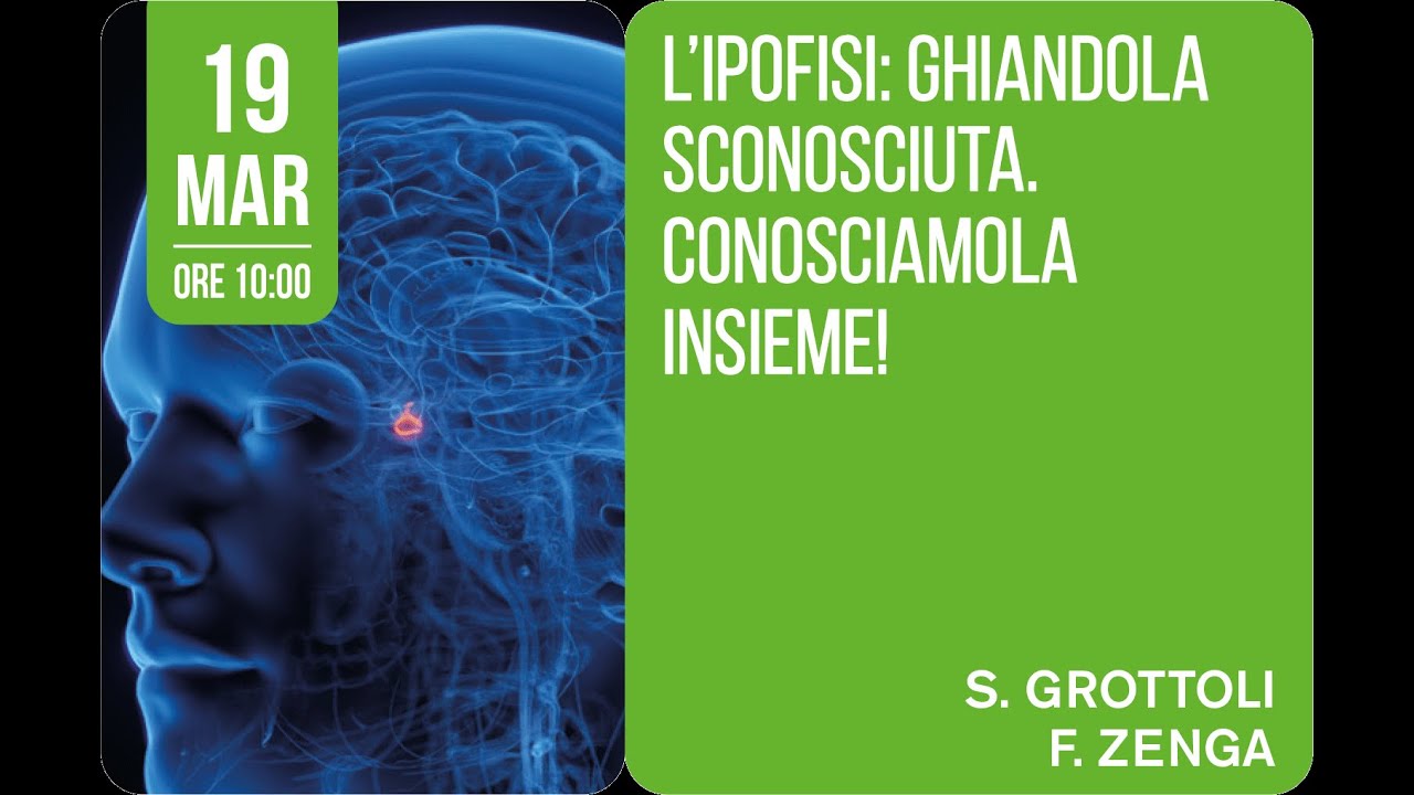 Martedì Salute - L’IPOFISI: GHIANDOLA SCONOSCIUTA. CONOSCIAMOLA INSIEME!