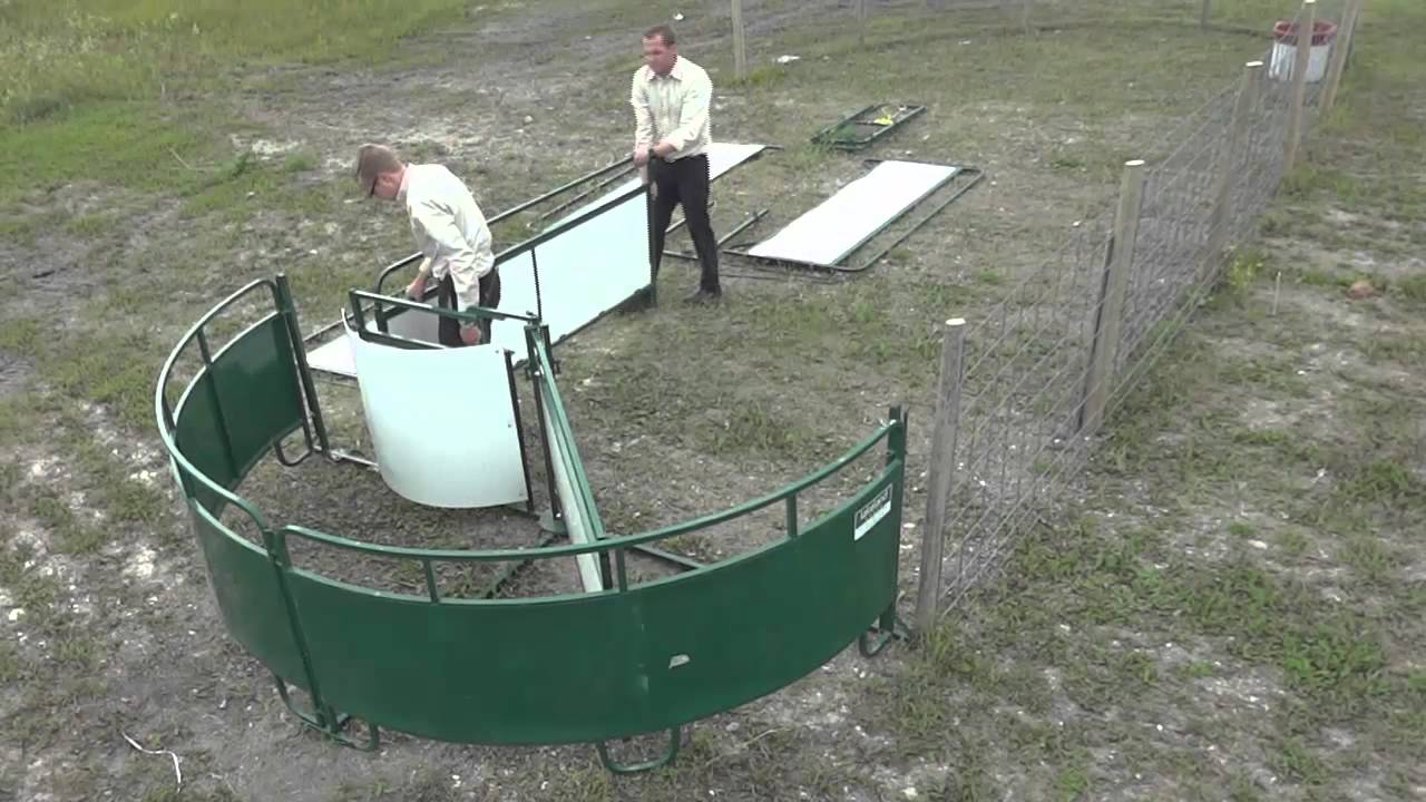 WCCT-DX - Working Chute and Crowding Tub for Sheep and Goats Setup - Lakeland Group