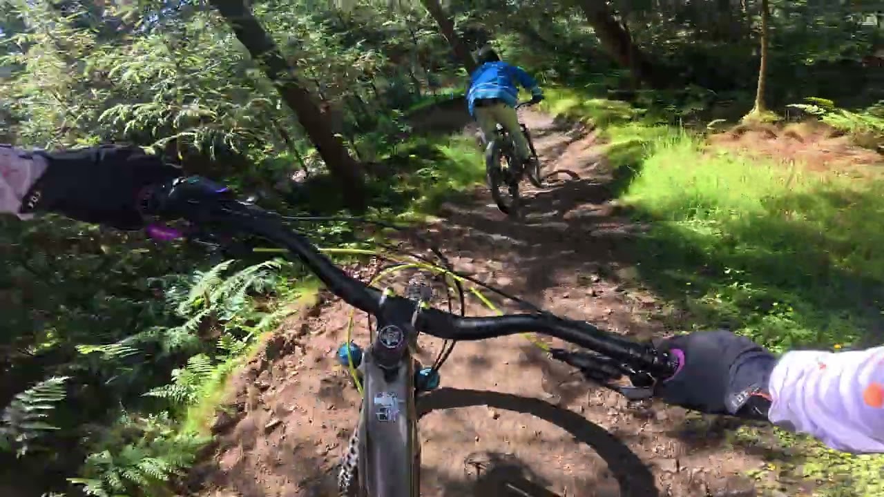 Spooky Wood Glentress 
