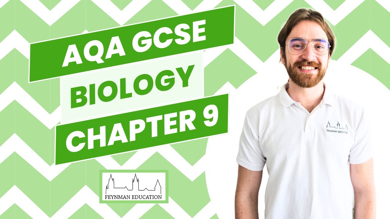 AQA GCSE Biology B9 Respiration - EXPLAINED