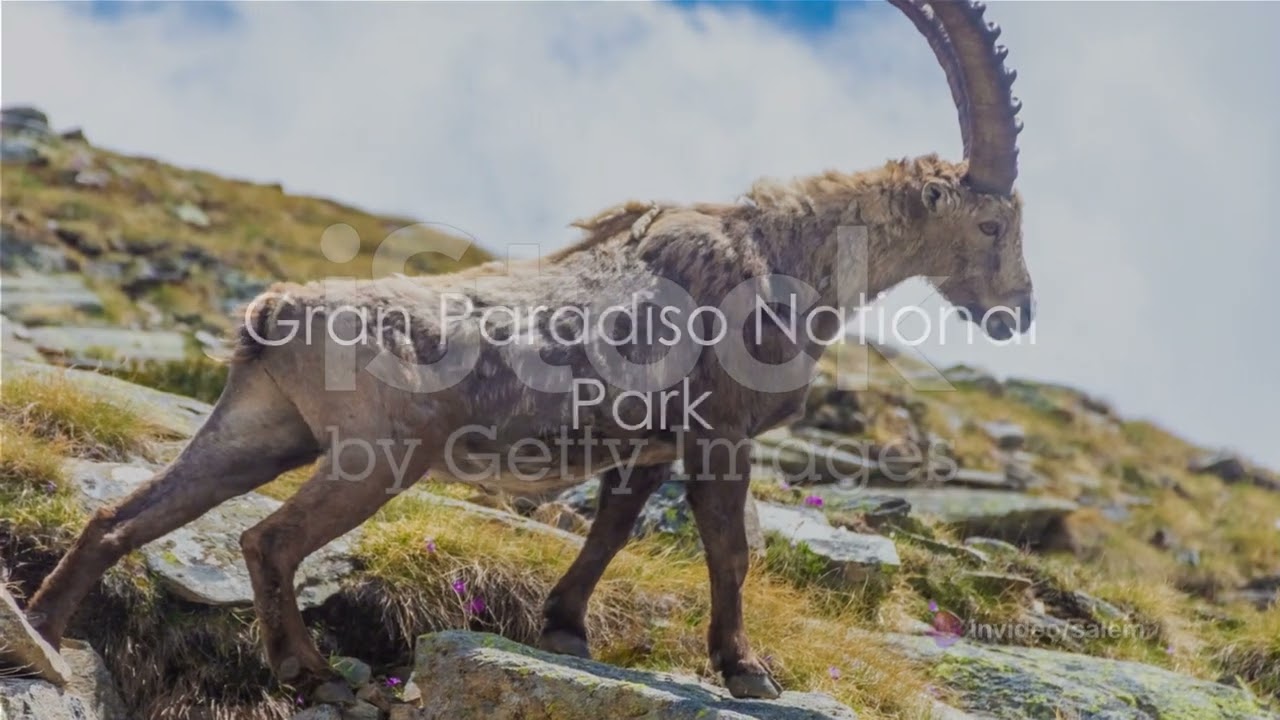 Europe's Top 5 Nature Reserves: A Visual Journey
