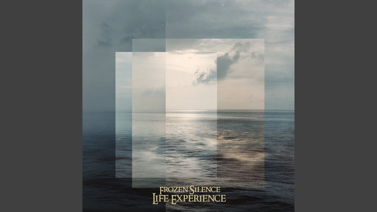 Life Experience
