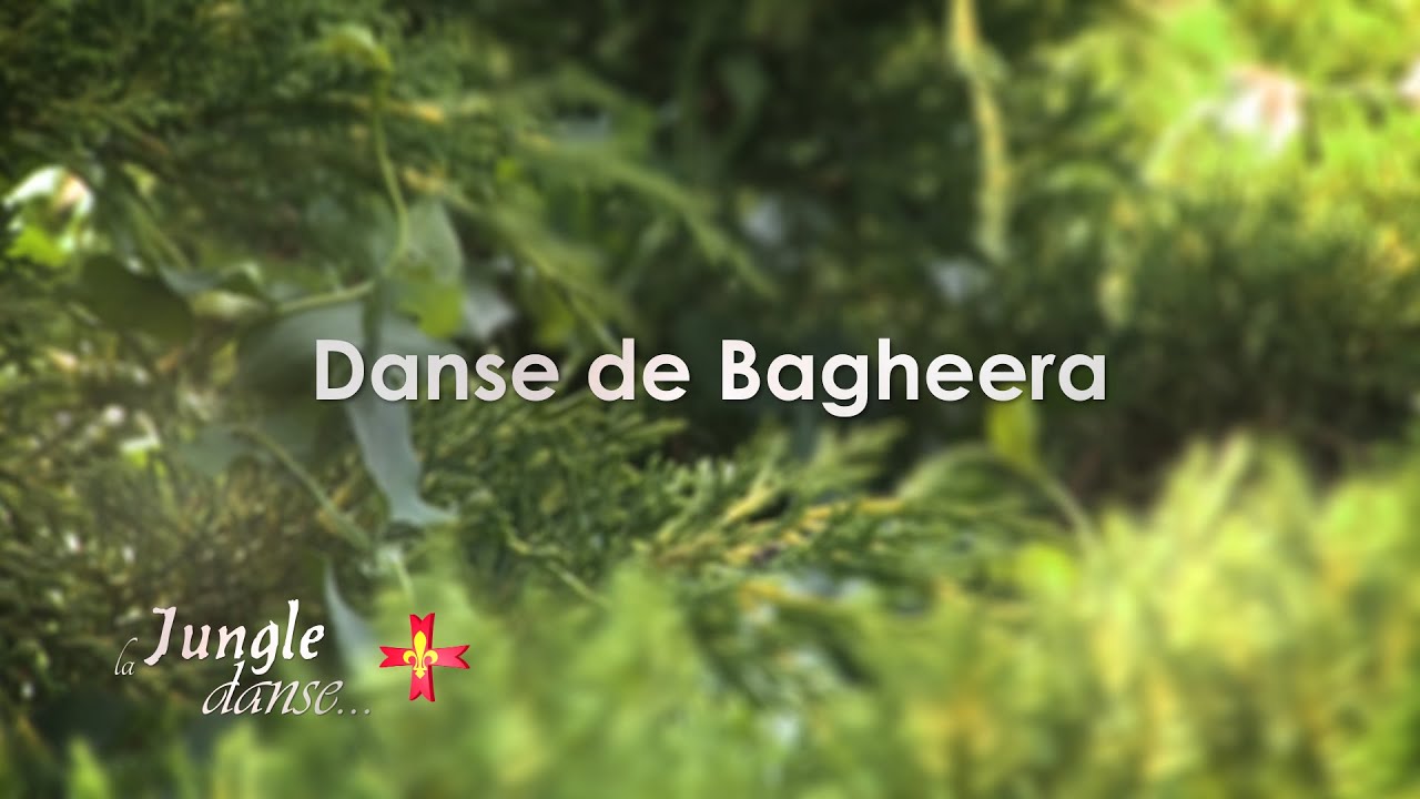 La Jungle Danse - Danse de Bagheera