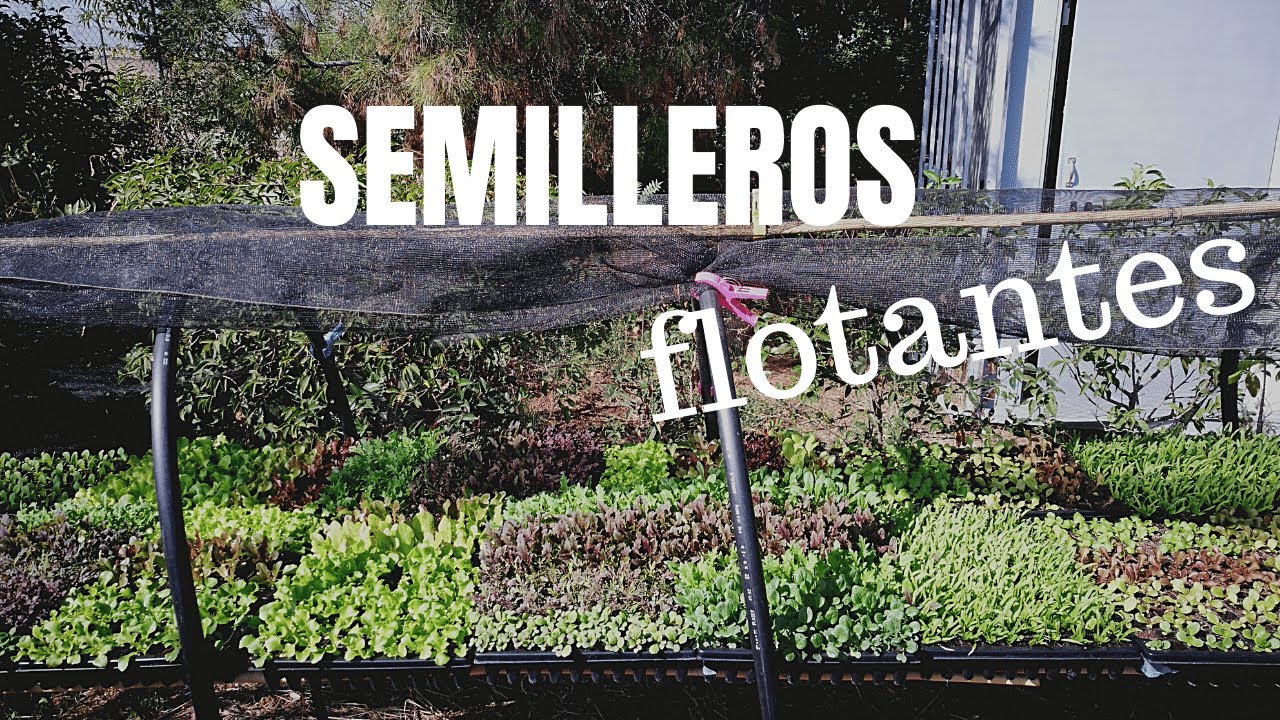 SEMILLEROS FLOTANTES