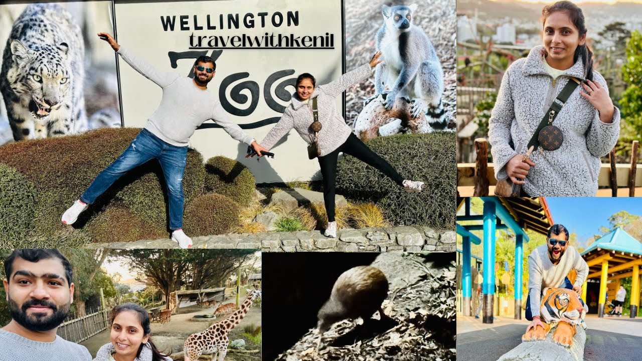 Wellington Zoo | Animal life | couple vlog | Kiwi | Indian vlogger|NZlife| #travelwithkenil| Vlog 5|