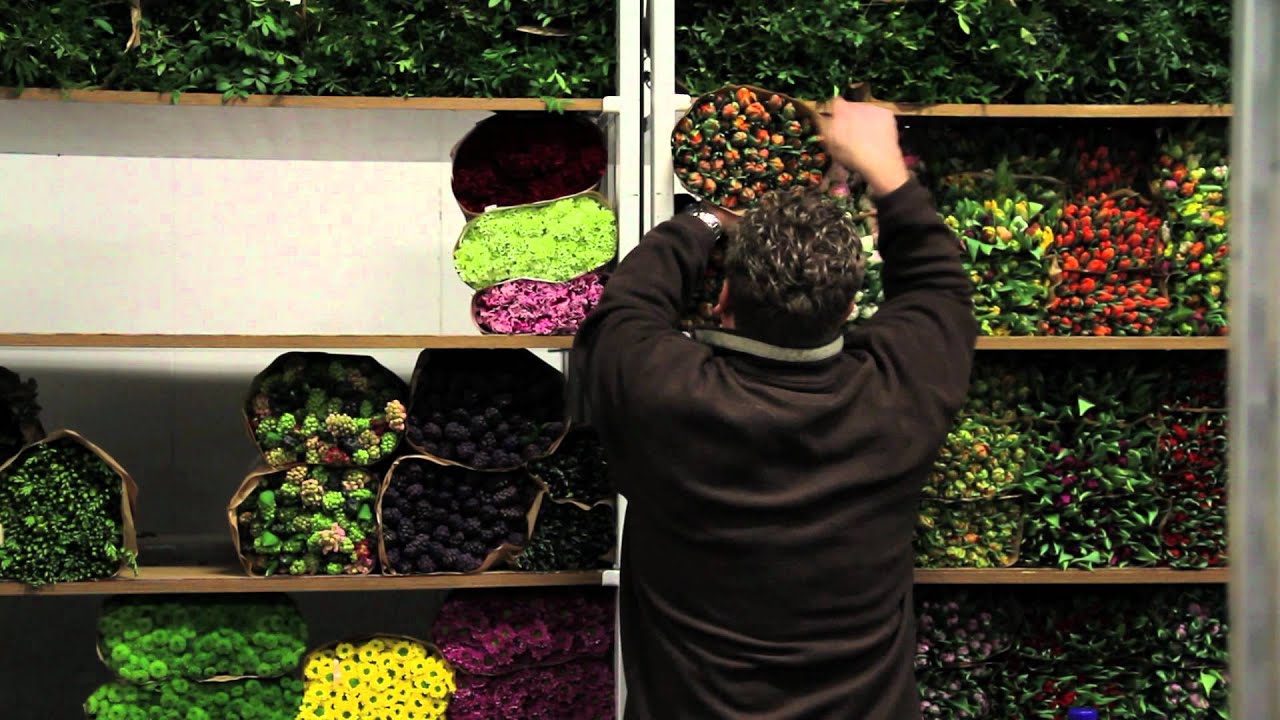 Promotiefilm: G. W.  Van Delft Bloemen en Planten Im- en Export