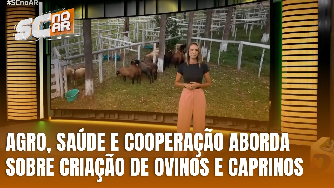 Ovinos e caprinos são tema do Agro, Saúde e Cooperação deste domingo