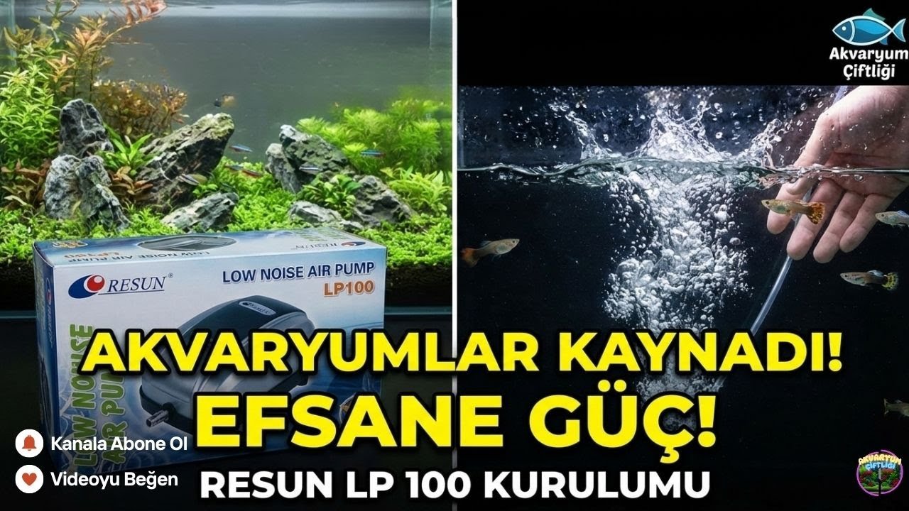 AKVARYUMLAR RESMEN KAYNADI! 😱 Resun LP 100 Dev Hava Motoru