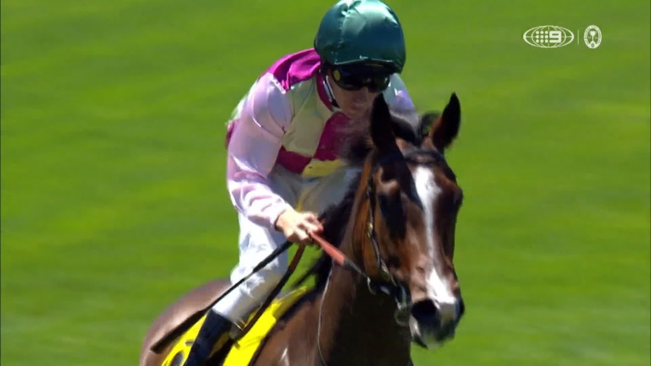 Manolo Bling &ndash; The Schweppervescence Plate &ndash; Lexus Melbourne Cup Day, Race 4