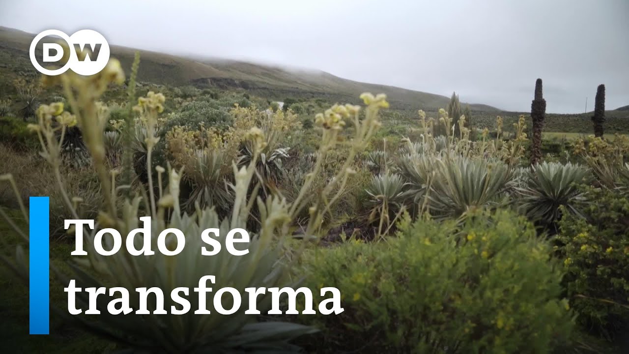 Aprovechar las oportunidades de la crisis ambiental - Programa completo