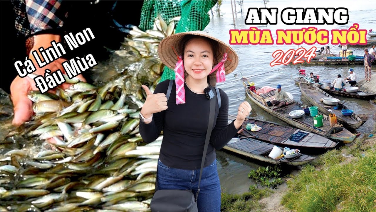 Hàng tấn Cá Linh Non từ Thượng Nguồn sông MeKong Campuchia về Việt Nam |Ký Sự Mùa Nước Nổi 2024 #658