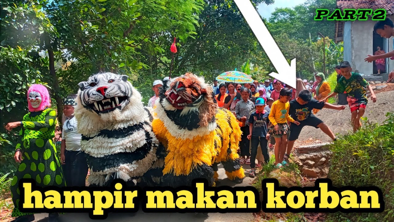 [ Gema Nada ] singo rimba hampir makan an4k''‼️😱