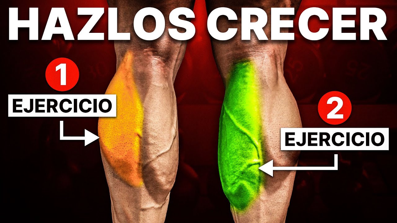 NO hagas ESTE EJERCICIO de GEMELO, estas son MEJORES ALTERNATIVAS (usando biomecánica) 📄