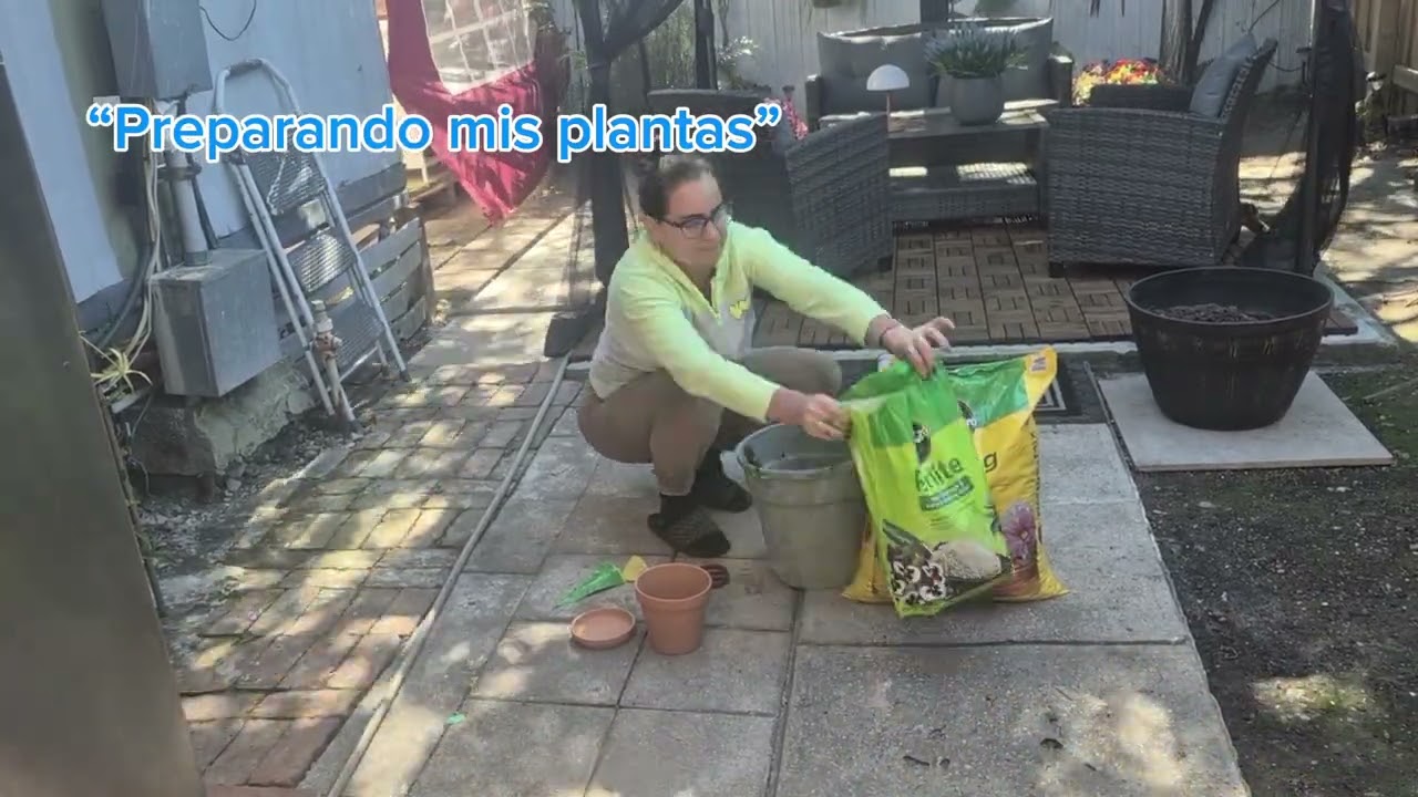 Una buena planta empieza desde la mezcla correcta 🌱