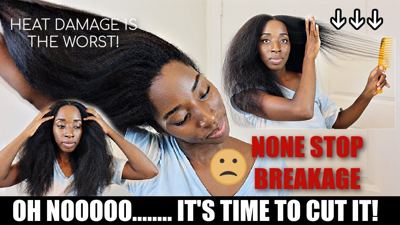 OLAPLEX for HEAT DAMAGED HAIR Did it STOP BREAKAGE?? LENGTH CHECK, CURL PATTERN Check, Full UPDATE