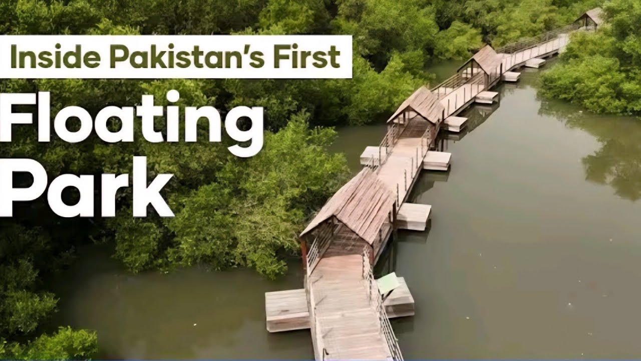 Mangrove Biodiversity Park or  Mangrove jungle in karachi 🇵🇰  pakistan real fun outside.