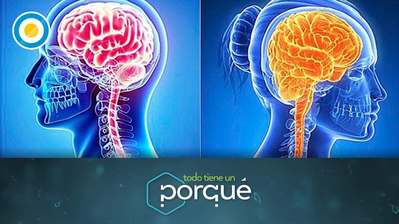 ¿Por qué envejece nuestro cerebro? (1 de 3) - Todo tiene un porqué