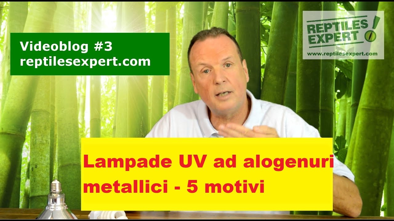 5 Motivi per cui le lampade ad alogenuri metallici UVB sono ideali