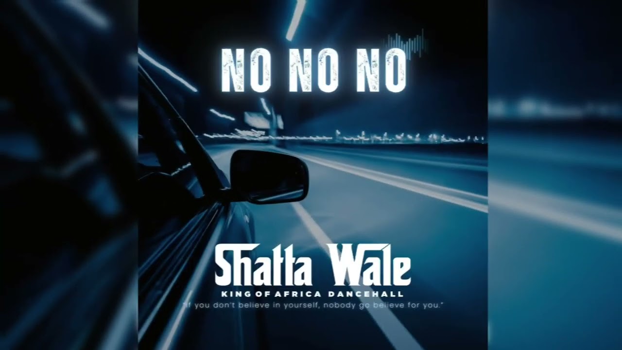 Shatta Wale - No No No (Audio Slide)