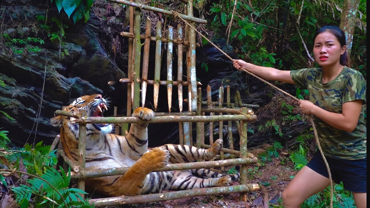100 Days to Survive: MAKE A SIMPLE WOODEN TIGER TRAP IN 60 MINUTES