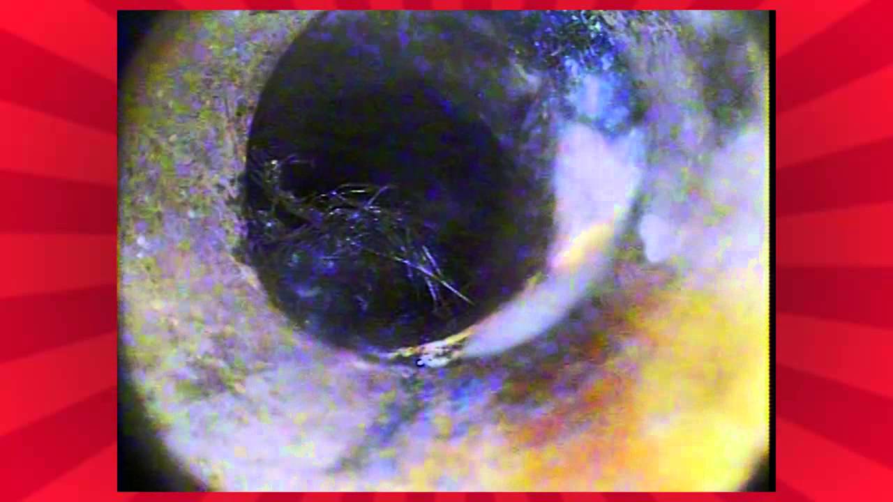 Trenchless Plumbing Services | Mr. Rooter Plumbing