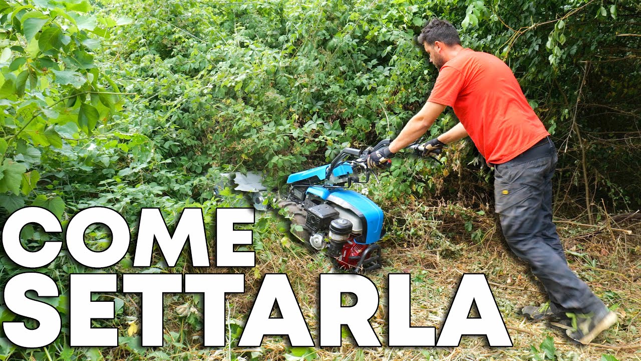 Modifiche alla TRINCIA per MOTOCOLTIVATORE e NUOVO ANIMALE
