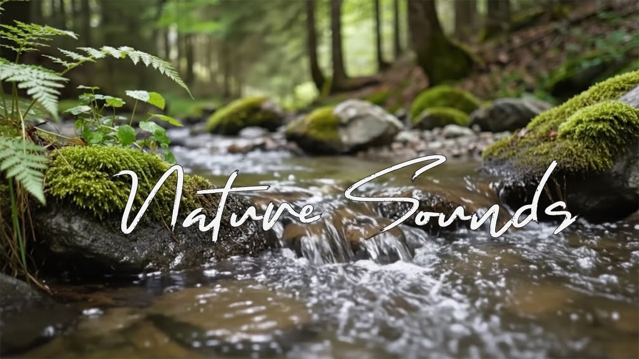 Forest River Flow & Birds Chirping 🌿 Soft Piano | Deep Sleep, Peaceful Relaxation