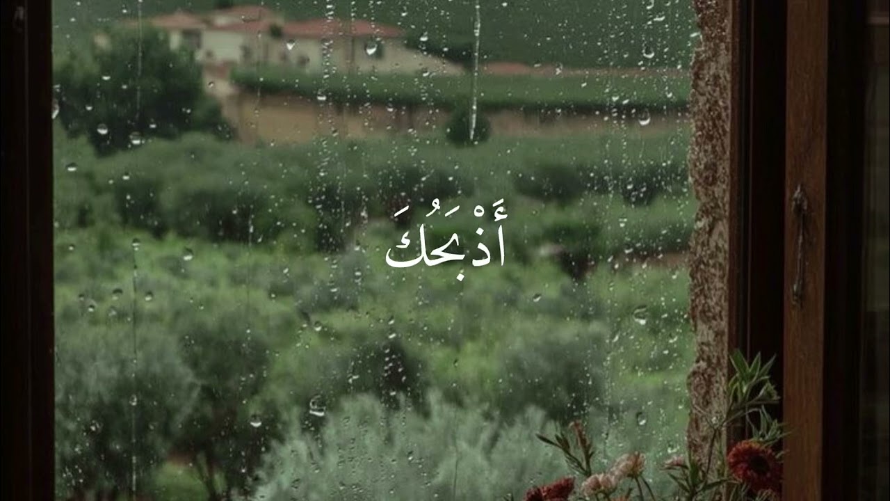 اجر لي ولكم 🤍.