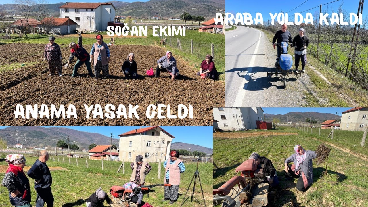 Anama doktor çalışma demiş❌sonu 🛌yatalak olursun şakası yok🤷🏻‍♂️bostana indi köylüyü çağırdı😱#bahçe