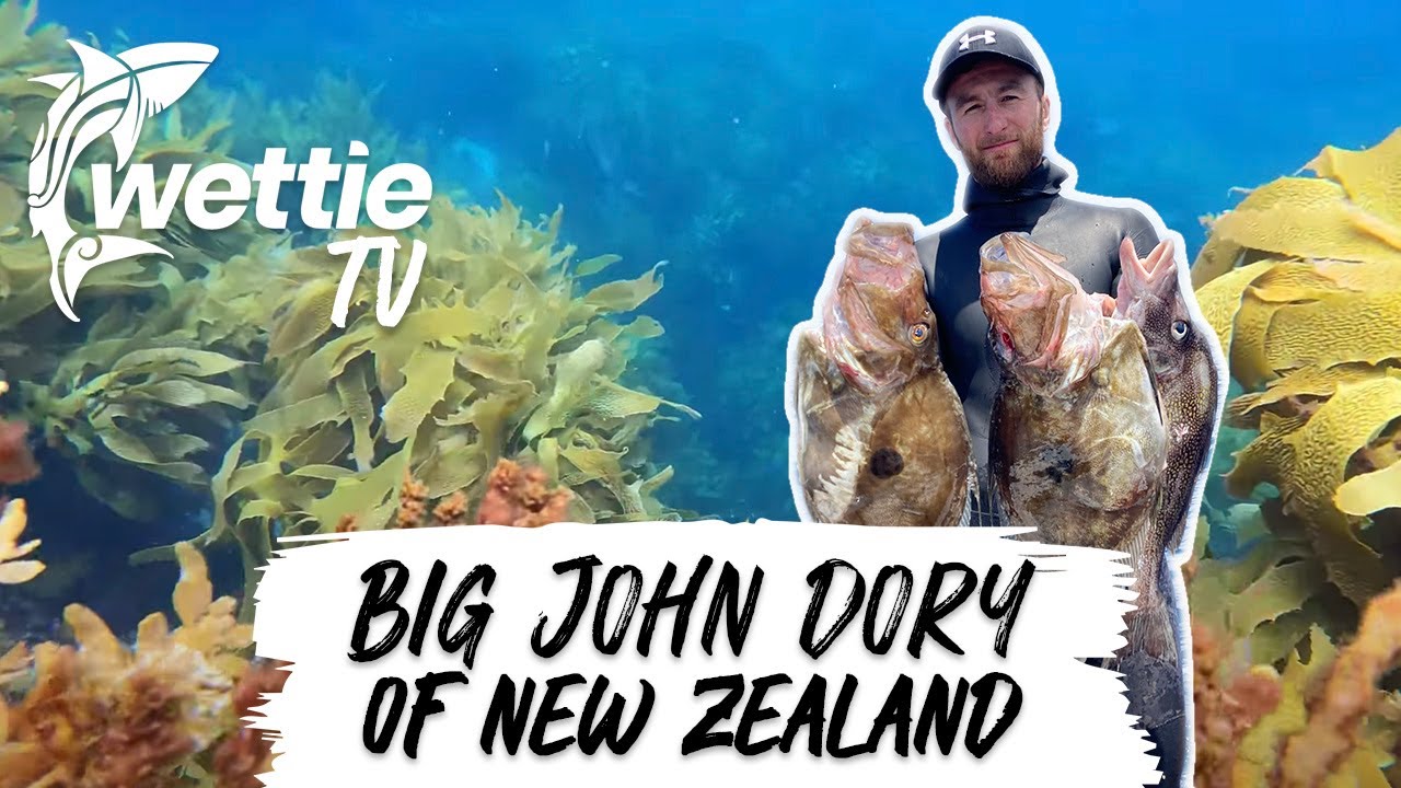 Wettie TV - Spearfishing New Zealand's BIG John Dory and More!!