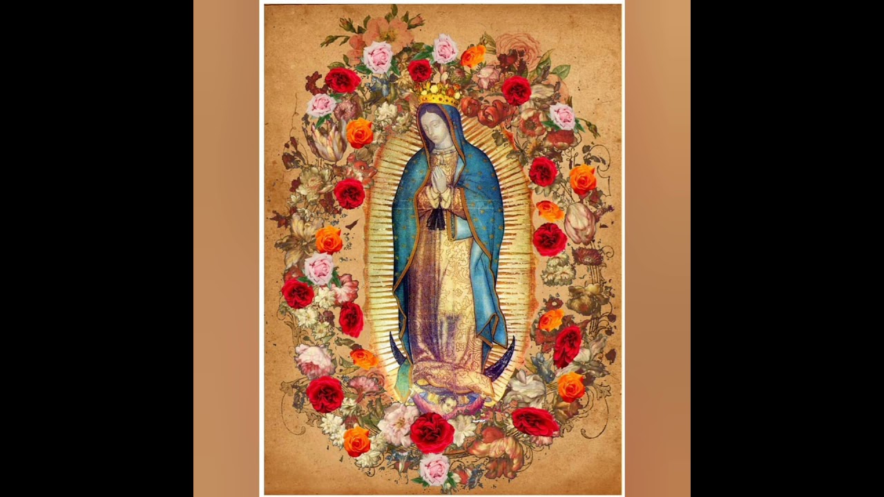 La Guadalupana 🎼  Coro Divina Providencia Coyoltzintla ❤️