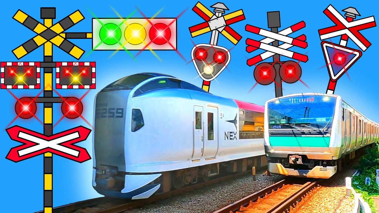 【電車】踏切アニメ 【ふみきり 鉄道】Railway Level Crossing Train Animation 成田エクスプレス 埼京線