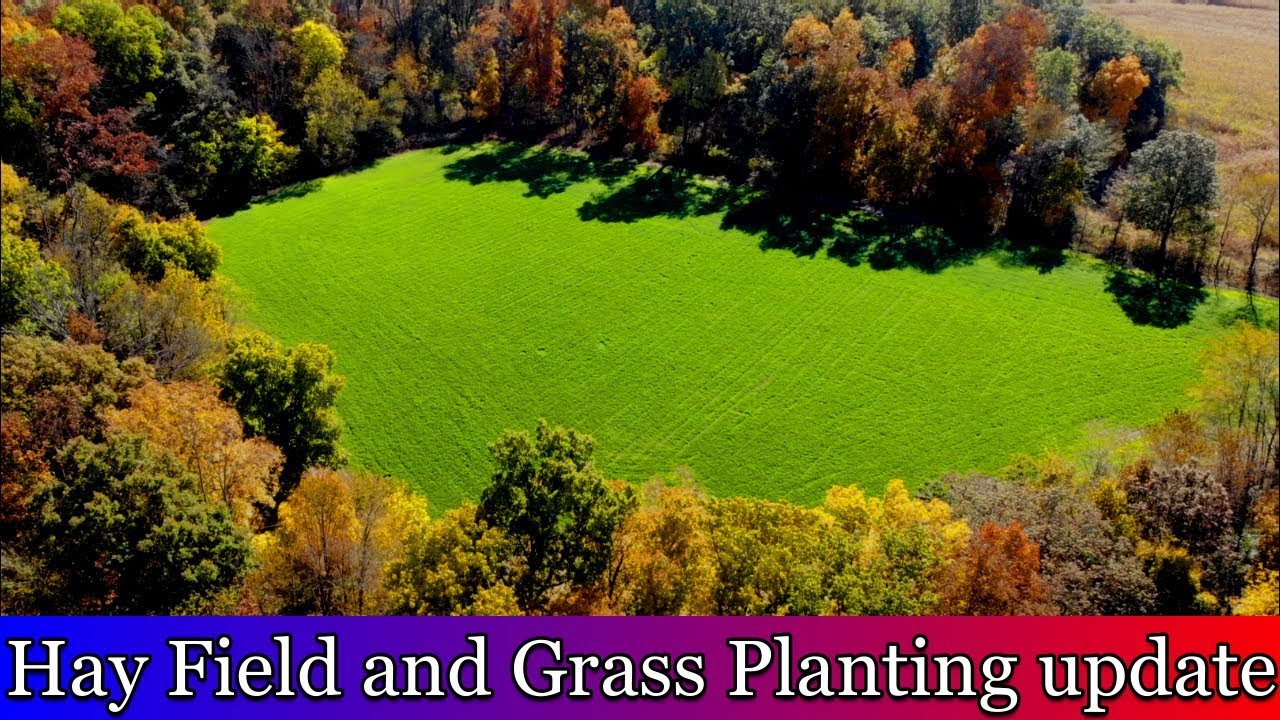 Hay Field and Fall Grass planting update