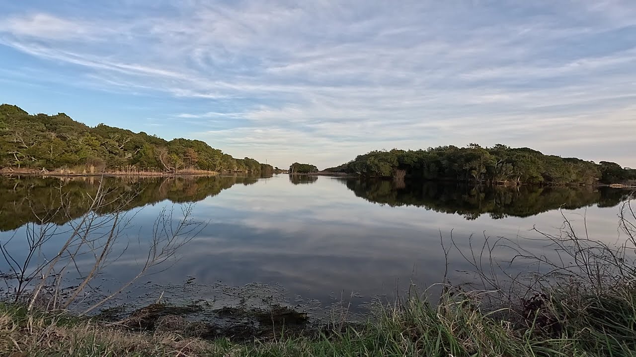 Cape Hatteras Pond, 20260112 1619: Nature Sounds and Visuals, Calming & Relaxing
