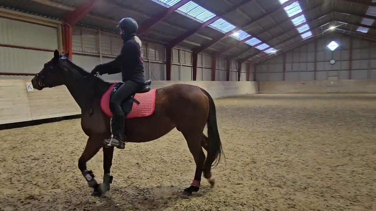 Anne Wejlemand Sopran Ombra online trec februar T5/T10