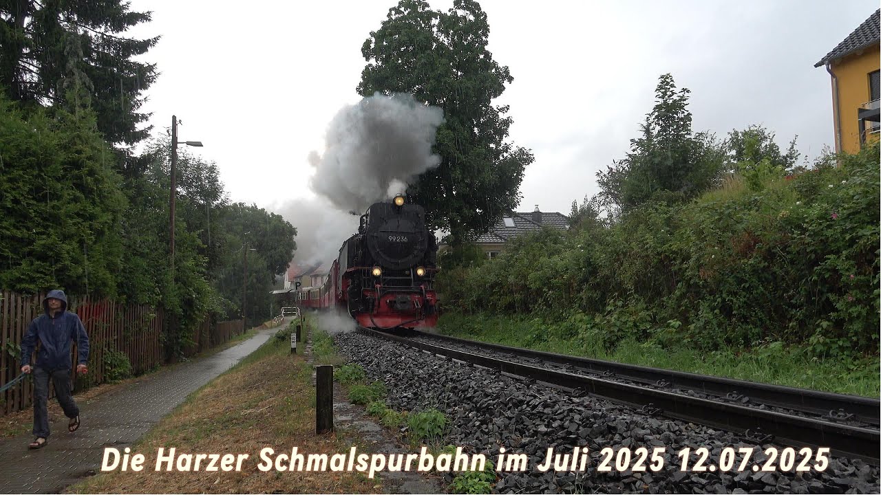 Die Harzer Schmalspurbahn im Juli 2025 199 861 bleibt an der Steinerne Renne Liegen 12.07.2025 (4K)